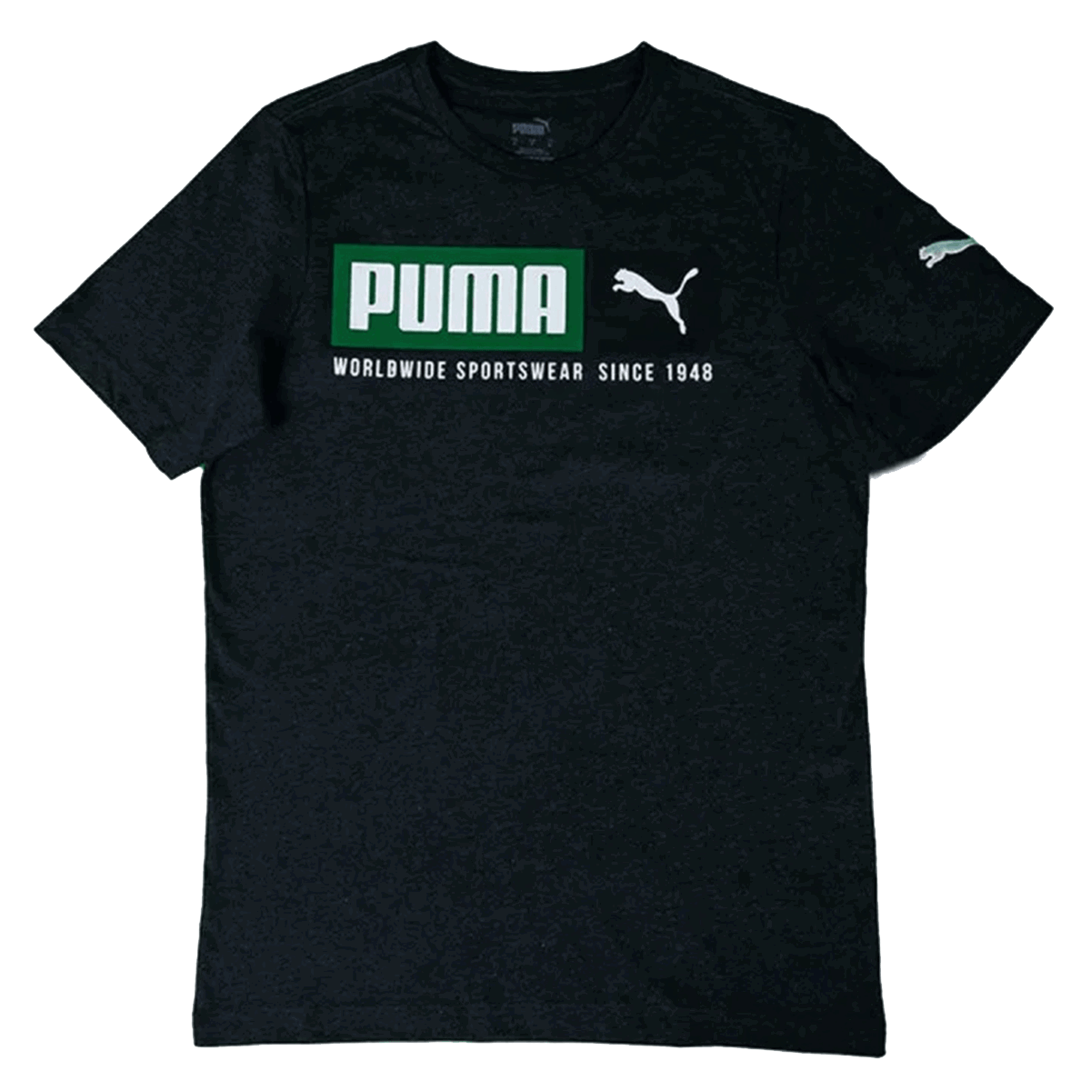 Tričko Puma T-Shirt Blank Base Čierna | 673144-01, 0