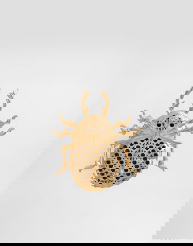 Spona Dolce & Gabbana Dolce & Gabbana Beetle-shaped Brooch With Rhinestones Rôznofarebný | WPR7A1W1111F0374, 2