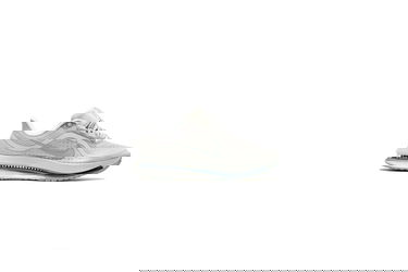 Tenisky a topánky Nike Pegasus Premium Šedá | HQ2592-007, 1