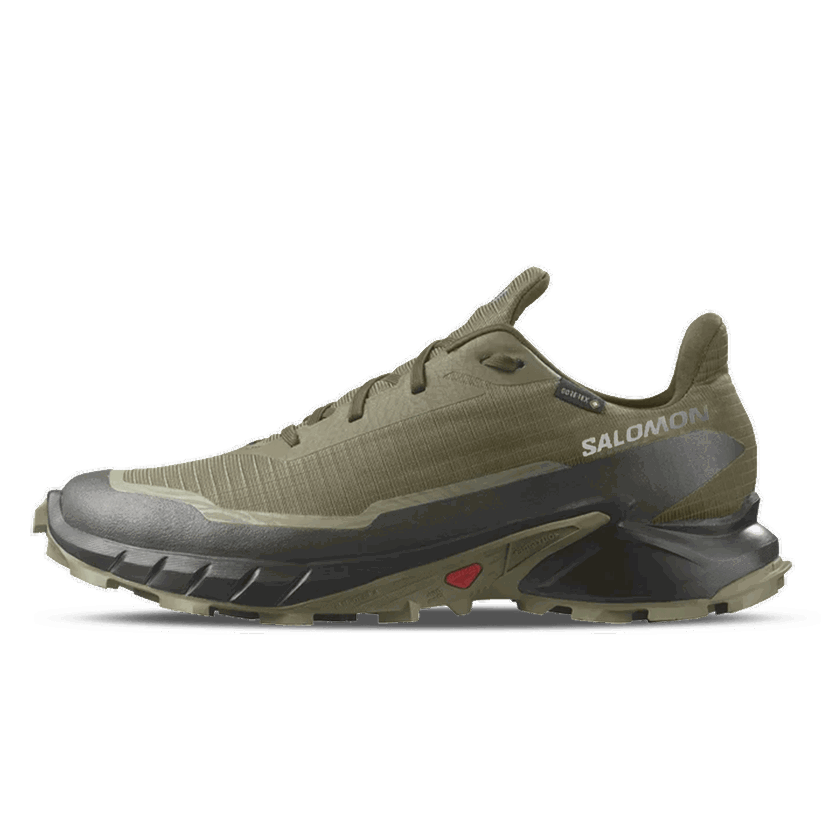 Tenisky a topánky Salomon ALPHACROSS 5 GTX Zelené | L47310300
