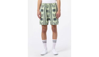 Šortky Dickies Kelso Short Rôznofarebný | DK0A4XNDC34, 3