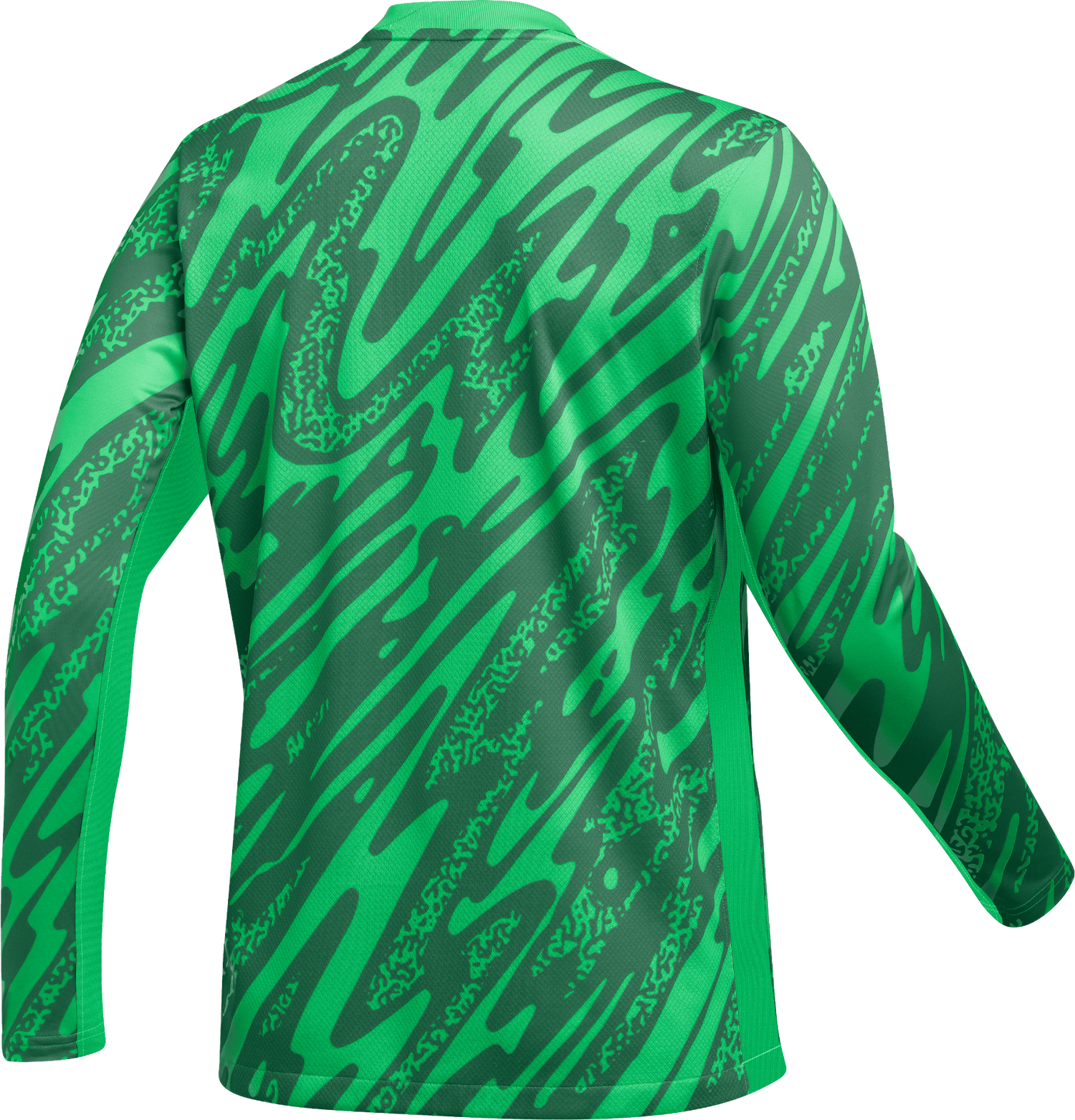 Dres Nike Nike Gardien V Goalkeeper Jersey Zelené | fd7477-329, 1