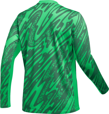 Dres Nike Nike Gardien V Goalkeeper Jersey Zelené | fd7477-329, 1