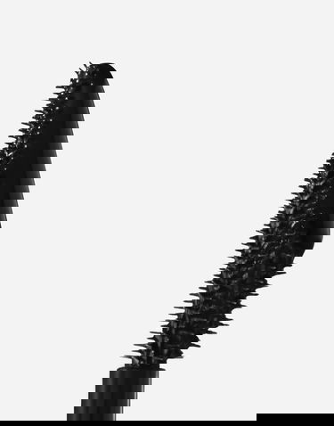 Parfémy a vône Dolce & Gabbana Dolce & Gabbana Everfull Hi-definition Mascara Refill Čierna | MKUPEYE0025V0000, 3