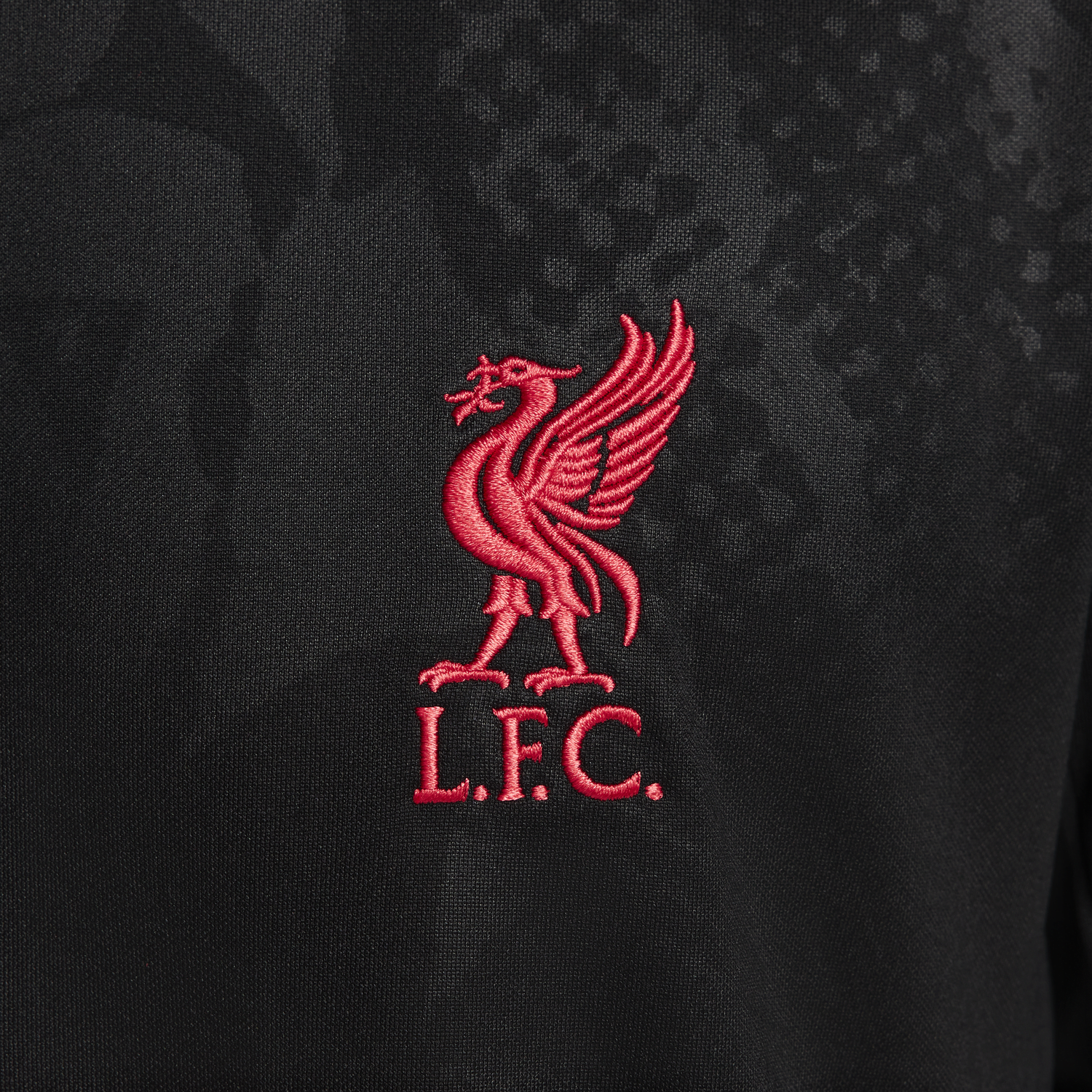 Dres Nike Dri-FIT Liverpool FC Academy Pro Third Čierna | FQ2548-011, 1