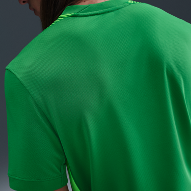 Dres Nike England 2025/26 Stadium Replica Dri-FIT Goalkeeper Jersey Zelené | IF3953-310, 2