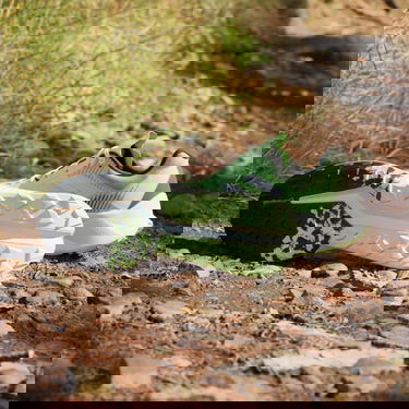 Tenisky a topánky adidas Performance adidas TERREX Boty TERREX Soulstride Flow Trail Running Zelené | IG8026, 4