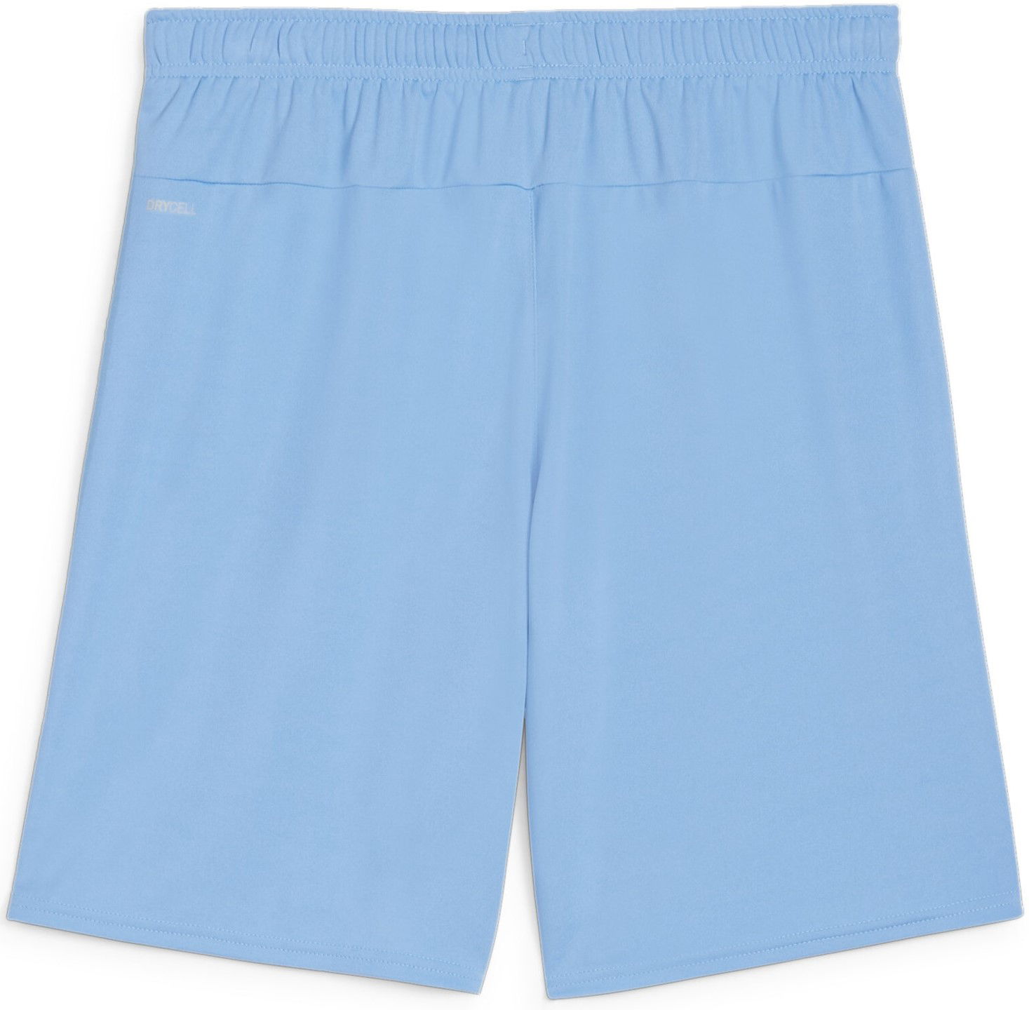 Šortky Puma teamGOAL Shorts Modrá | 705752-18, 1
