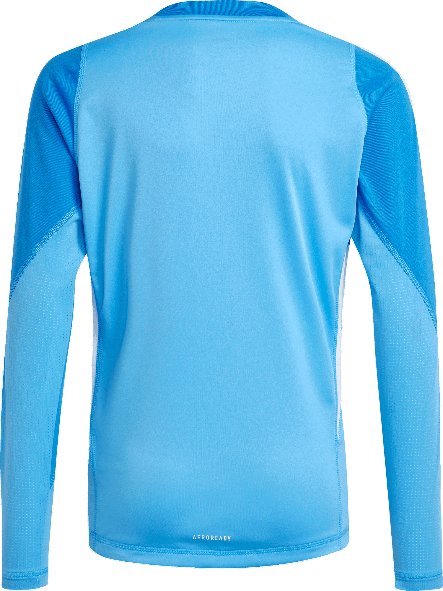 Dres adidas Originals adidas Tiro 25 Pro Goalkeeper Jersey Modrá | ji9701, 1
