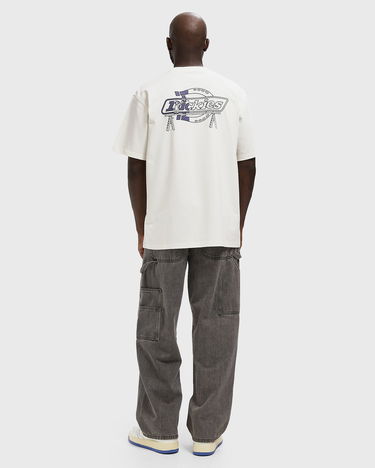 Tričko Dickies Statesville T-Shirt Biela | DK0A87QPC481, 2