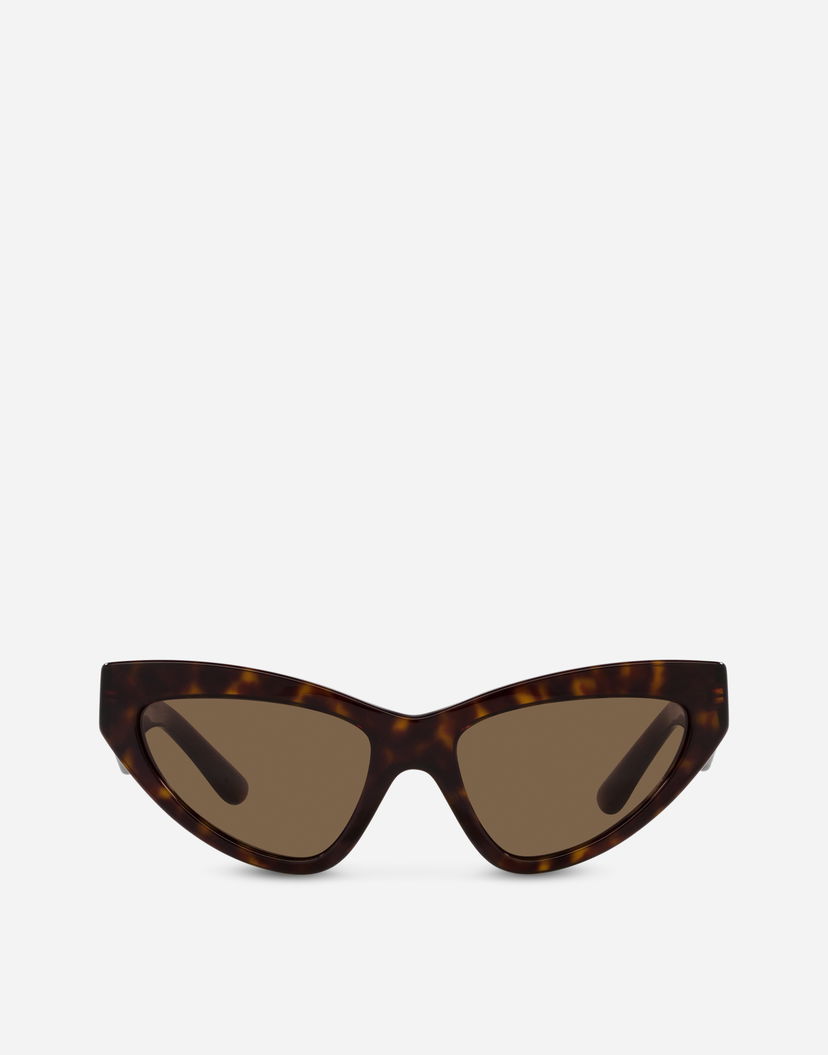 Slnečné okuliare Dolce & Gabbana Crossed Acetate Sunglasses Onesize Hnedá | VG4439VP2739V000