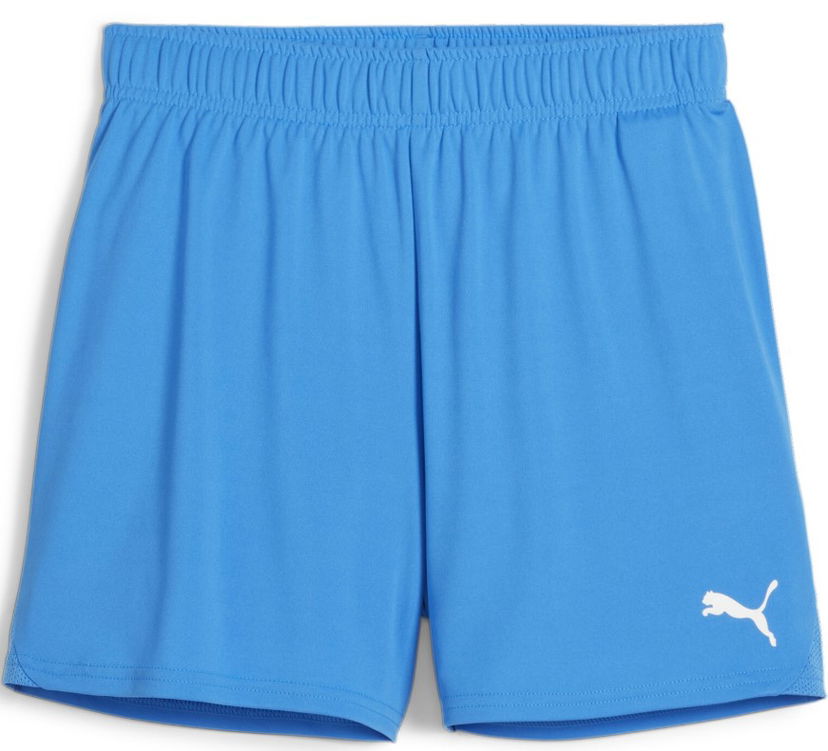 Šortky Puma teamGOAL Handball Shorts Modrá | 706019-02