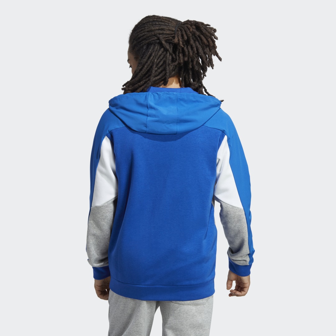 Essentials Colorblock Full-Zip Hoodie