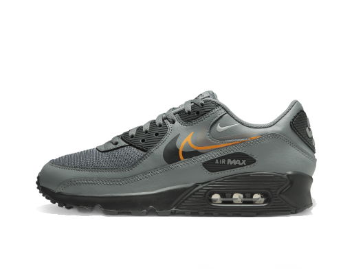 Tenisky a topánky Nike Air Max 90 Šedá | FN7810-001