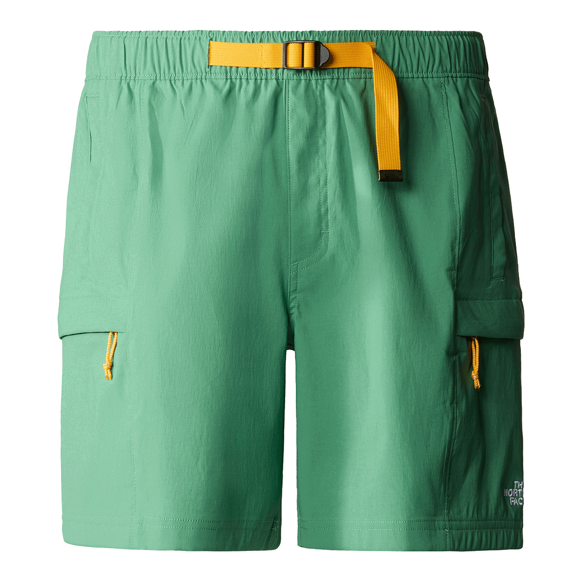 Šortky The North Face Class V Belted Cargo Short Zelené | NF0A55V8N111, 0
