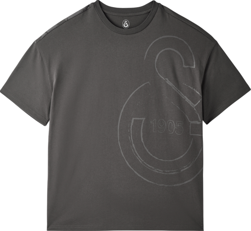 Tričko Puma Galatasaray Istanbul 1905 T-Shirt Šedá | e251058-304, 0