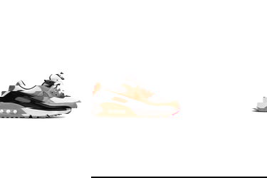 Tenisky a topánky Nike AIR MAX 90 Hnedá | DH8010-005, 0