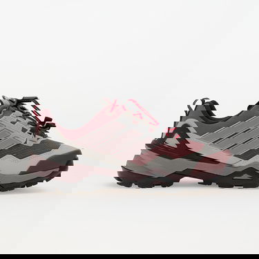 Tenisky a topánky adidas Performance Terrex Skychaser GORE-TEX Hiking Shoes Fialová | IH1100, 2