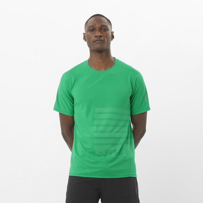 Tričko Salomon Aero Graphic T-Shirt Zelené | LC2694700, 0
