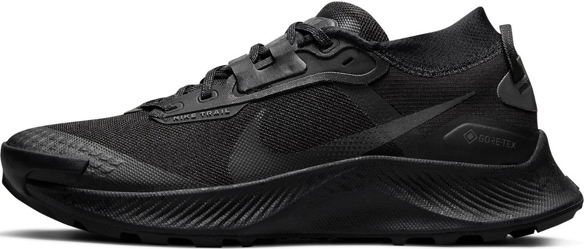 Tenisky a topánky Nike Pegasus Trail 3 GTX W Čierna | dc8794-001, 0