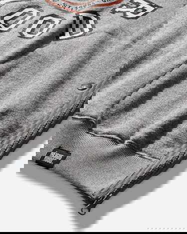 Mikina Neighborhood Combination Hoodie with Technical Apparel Crest Graphic Šedá | 252FPNH-CSM03 GRAY, 4