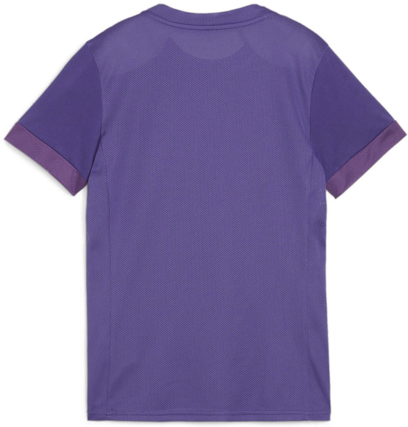 Dres Puma teamGOAL Matchday Jersey Wmns Fialová | 705749-10, 1