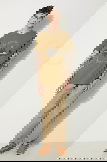 Nohavice Dickies Classic Fit Work Pant Rec Béžová | DK0A4XK9KHK, 1