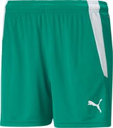 teamLIGA Shorts