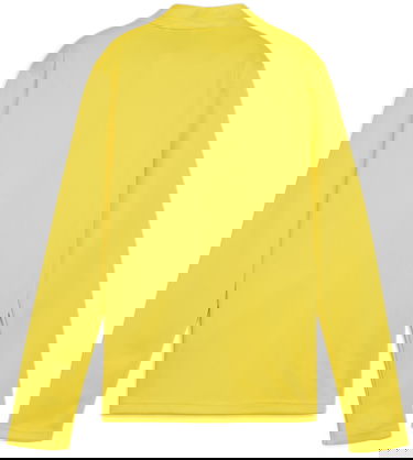 Bunda Puma teamGOAL Training Jacket Žltá | 658635-07, 1
