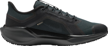 Tenisky a topánky Nike Pegasus 41 GORE-TEX Čierna | fq1356-001, 3