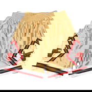 Chicago Bulls 75th Gold Swingman Shorts