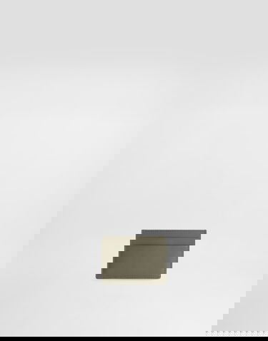 Peňaženka Dolce & Gabbana Plongé Calfskin Card Holder Zelené | BI0330A9S2580560, 2