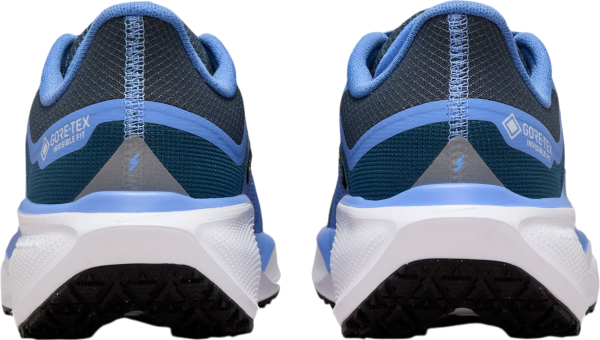 Tenisky a topánky Nike Pegasus 41 GORE-TEX Modrá | fq1357-400, 1
