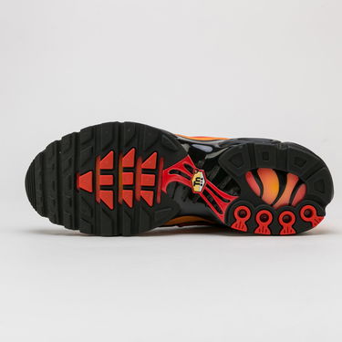 Tenisky a topánky Nike Air Max Plus Rôznofarebný | DA1514-001, 4