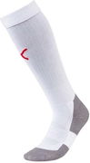 Puma Team Liga Core Socks