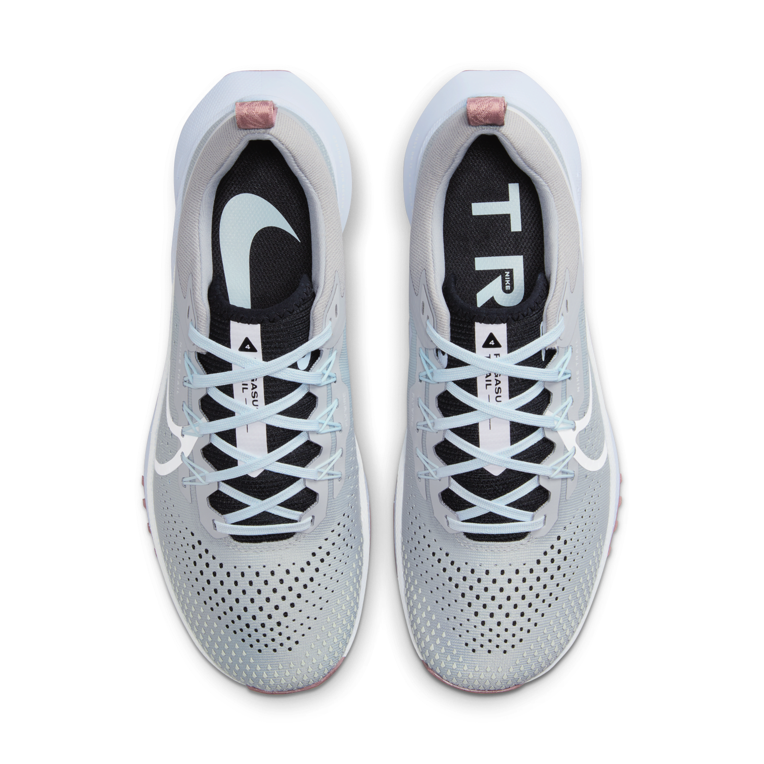 Tenisky a topánky Nike Pegasus Trail 4 Šedá | DJ6159-005, 1