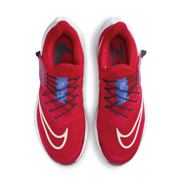 Tenisky a topánky Nike Pegasus FlyEase Červená | DJ7381-601, 2