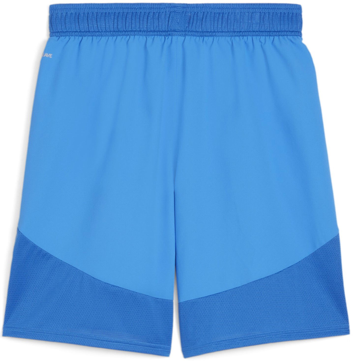 teamFINAL Shorts