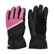 Padded Winter Gloves