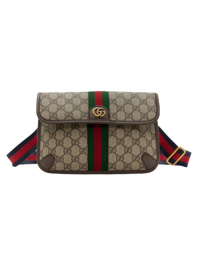 Ľadvinka Gucci Small Ophidia GG Belt Bag Béžová | 752597 FACFW