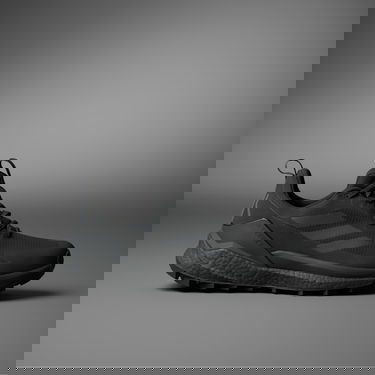 Tenisky a topánky adidas Performance Terrex Free Hiker 2.0 Low GTX Čierna | IE7652, 0