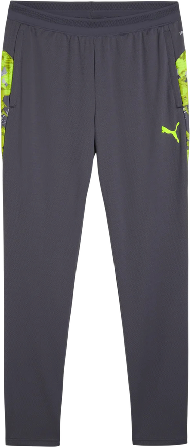 Tepláky Puma individualCUP Training Pants Šedá | 659899-08, 0