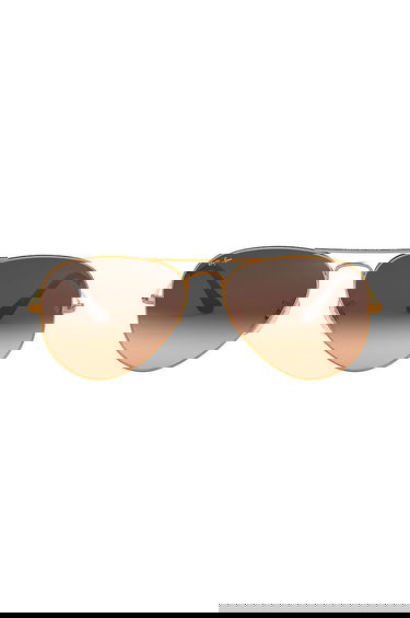 Slnečné okuliare Ray-Ban Ray-Ban Aviator Large Metal Sunglasses Hnedá | 0RB3025.58.9001A5, 2
