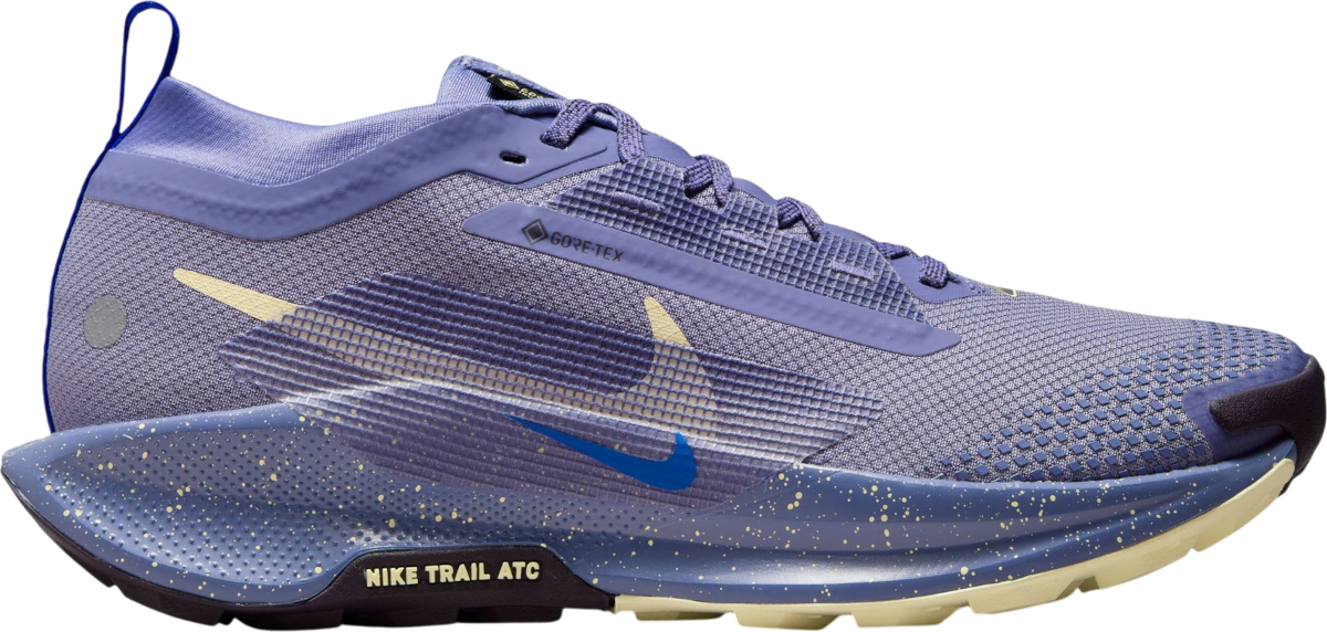 Tenisky a topánky Nike Pegasus Trail 5 GORE-TEX Fialová | fq0912-402, 0