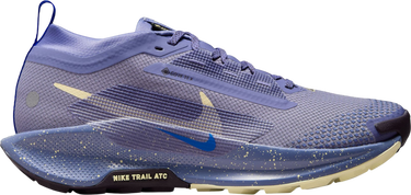 Tenisky a topánky Nike Pegasus Trail 5 GORE-TEX Fialová | fq0912-402, 0