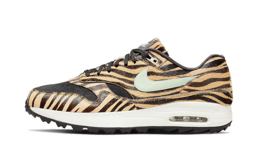 Tenisky a topánky Nike Air Max 1 Golf Tiger Rôznofarebný | DH131800