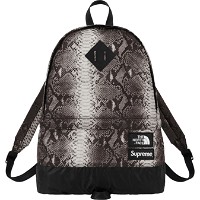 The North Face x Snakeskin Lightweight Day Pack