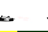 Speedcat Ballet Shoes