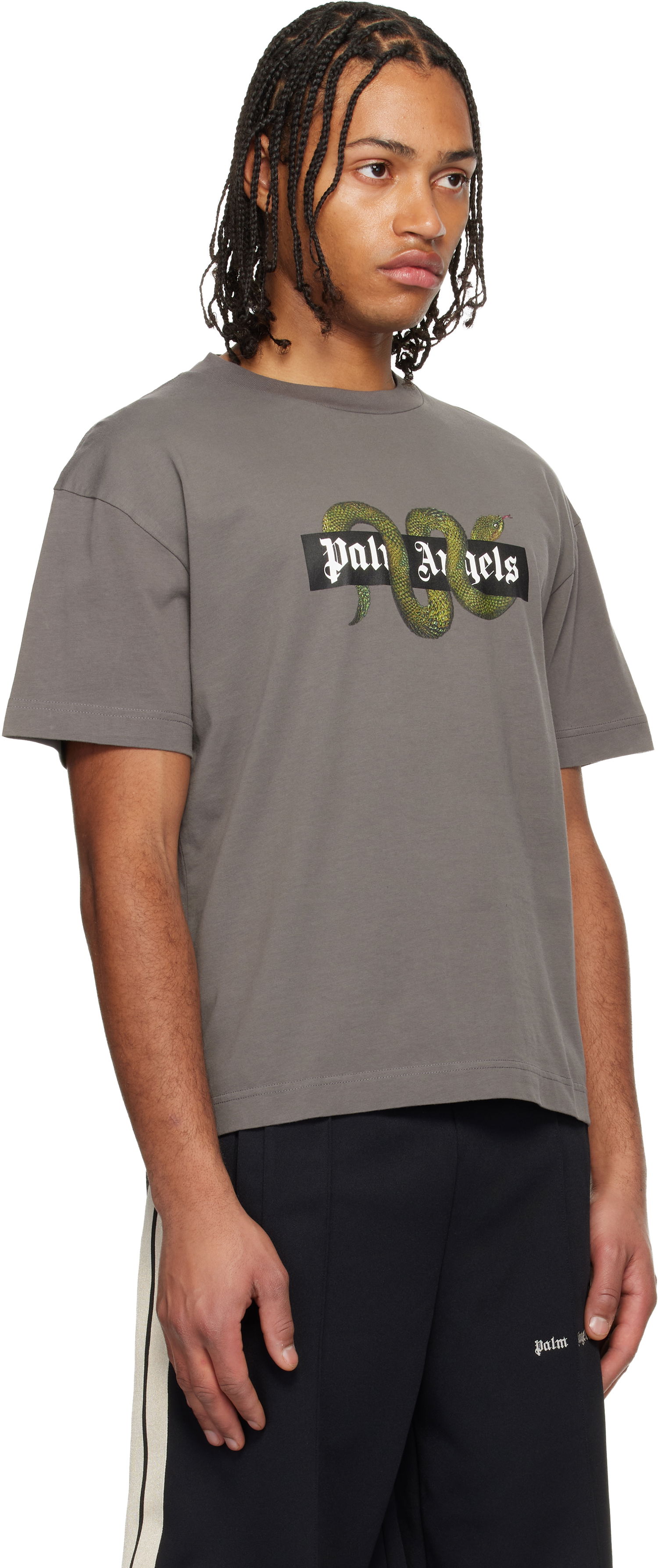 Tričko Palm Angels Snake Box Logo Regular T-shirt Šedá | PMAA109F25JER0080755, 1
