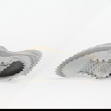 Tenisky a topánky Nike Vomero 18 Gore-Tex Šedá | HQ7001-003, 3